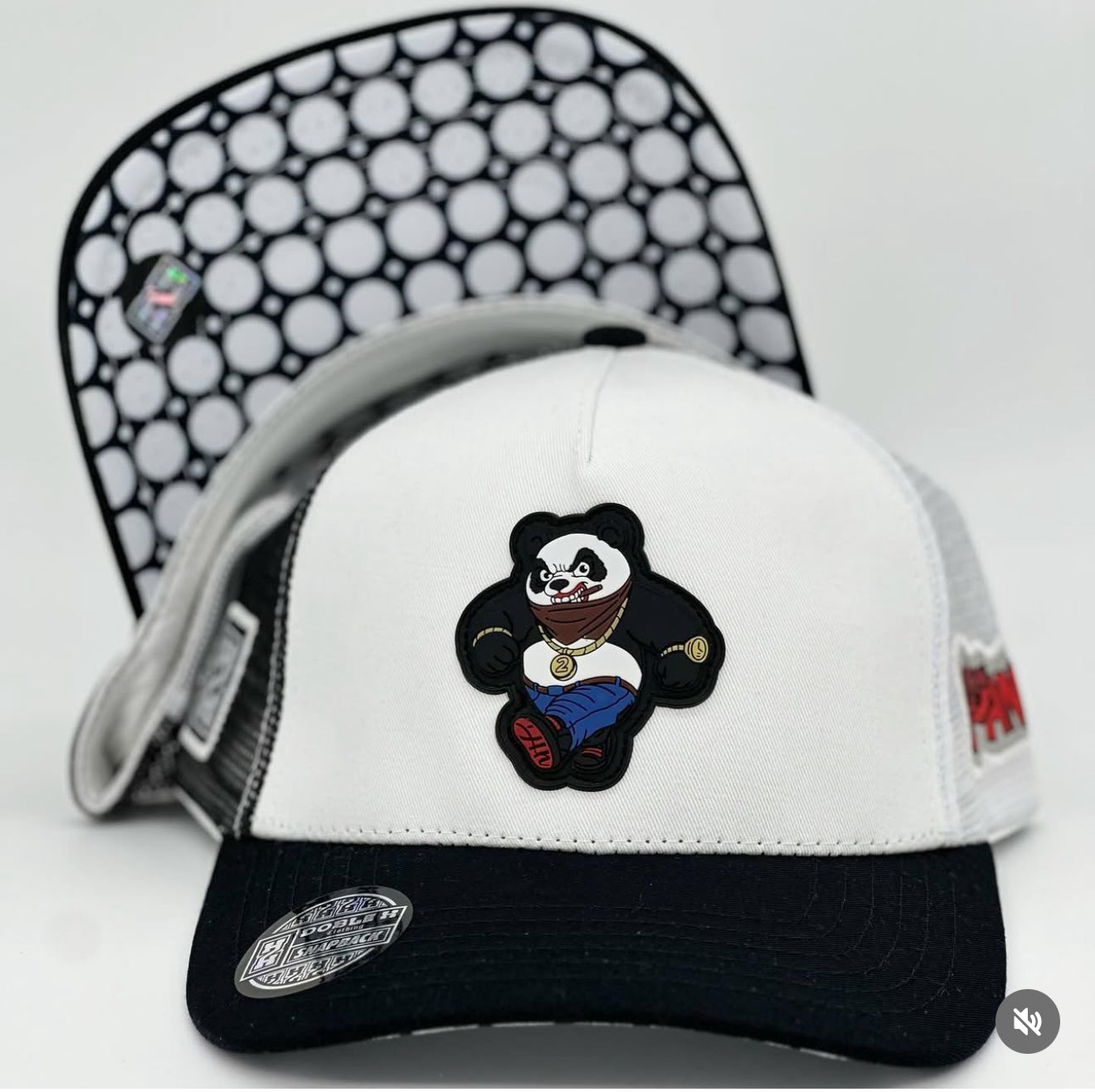 LA FUERZA DEL PANDA